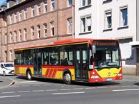 Foto des Monats April 2025