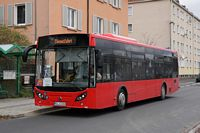 Foto des Monats Januar 2026