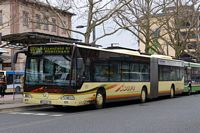 Foto des Monats Mai 2026